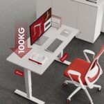 SANODESK Höhenverstellbarer Schreibtisch 120×80 cm, Dual-Motor Steh-Sitz Tisch mit 3-stufigen Beinen & USB, leises Premium-System mit Memory-Funktion und Kollisionsschutz (Weiß+Weiß)